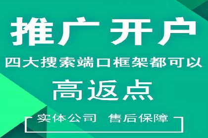 SEM代运营案例：打造高效广告投放方案